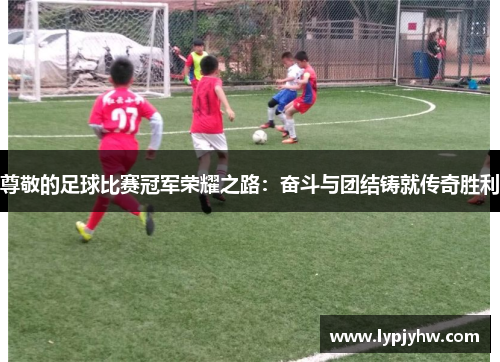 尊敬的足球比赛冠军荣耀之路：奋斗与团结铸就传奇胜利
