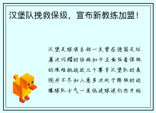 汉堡队挽救保级，宣布新教练加盟！